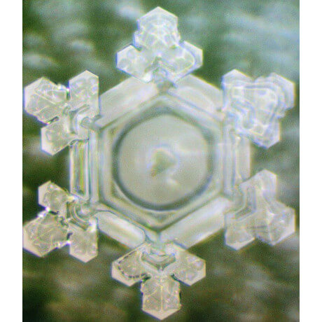 Crystal Thank you