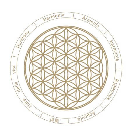 Flower of life