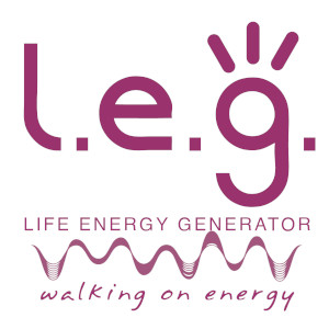 logo LEG tesla plates e-commerce